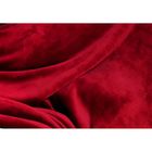Плед с рукавами Sleepy, размер 140х180 см, 60х33 см, 250 гр/м2, цвет бордо - Фото 2