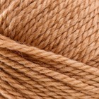 Пряжа для вязания спицами, крючком «Пехорский текстиль. Мериносовая», 50% мериносовая шерсть, 50% акрил, 200 м/100 г, (124 Песочный) - Фото 4