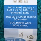 Пряжа "Кроссбред Бразилии" 50%меринос.шерсть, 50% акрил 500м/100гр (591-Лагуна) - Фото 4