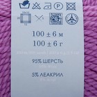 Пряжа "Зимний вариант" 95% имп.шерсть, 5% акрил объёмный 100м/100гр (389-Св.фиалка) - Фото 3