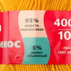 Пряжа"Австралийский меринос" 95%меринос. шерсть,5% акрил объёмный 400м/100гр (340-Листопад) - Фото 3