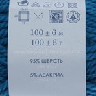 Пряжа "Зимний вариант" 95% имп.шерсть, 5% акрил объёмный 100м/100гр (14-Морская волна) - Фото 3