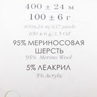 Пряжа "Австралийский меринос" 95%меринос. шерсть,5% акрил объёмный 400м/100гр (351-Св.корал - Фото 2