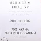 Пряжа "Народная" 30% шерсть, 70% акрил объёмный 220м/100гр (30-св.терракот) - Фото 2