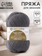 Пряжа для вязания спицами, крючком «Пехорский текстиль. Австралийский меринос», 95% мериносовая шерсть, 5% акрил объёмный 400 м/100 г, (393 св. морен) - Фото 1