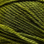 Пряжа для вязания спицами, крючком «Пехорский текстиль. Народная», 30% шерсть, 70% акрил объёмный, 220 м/100 г, (478 защитный) - Фото 2