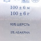 Пряжа "Зимний вариант" 95% имп.шерсть, 5% акрил объёмный 100м/100гр (163-Миндаль) - Фото 2