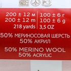 Пряжа "Мериносовая" 50%меринос.шерсть, 50% акрил 200м/100гр (193-Св.салат) - Фото 2