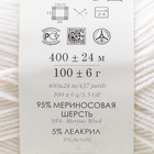 Пряжа "Австралийский меринос" 95%меринос. шерсть,5% акрил объёмный 400м/100гр (01-Белый) - Фото 2