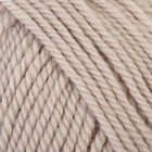 Пряжа "Зимний вариант" 95% имп.шерсть, 5% акрил объёмный 100м/100гр (181-Жемчуг) - Фото 1