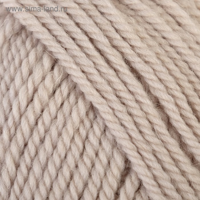 Пряжа "Зимний вариант" 95% имп.шерсть, 5% акрил объёмный 100м/100гр (181-Жемчуг)