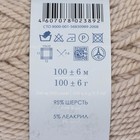 Пряжа "Зимний вариант" 95% имп.шерсть, 5% акрил объёмный 100м/100гр (181-Жемчуг) - Фото 3