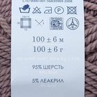 Пряжа "Зимний вариант" 95% имп.шерсть, 5% акрил объёмный 100м/100гр (388-Т.верба) - Фото 3