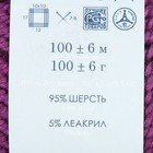 Пряжа "Зимний вариант" 95% имп.шерсть, 5% акрил объёмный 100м/100гр (575-Ярколиловый) - Фото 3