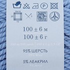 Пряжа "Зимний вариант" 95% имп.шерсть, 5% акрил объёмный 100м/100гр (05-Голубой) - Фото 3