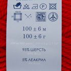 Пряжа "Зимний вариант" 95% имп.шерсть, 5% акрил объёмный 100м/100гр (06-Красный) - Фото 3