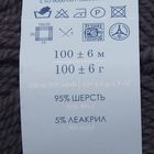 Пряжа "Зимний вариант" 95% имп.шерсть, 5% акрил объёмный 100м/100гр (35-Моренго) - Фото 3