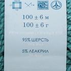 Пряжа "Зимний вариант" 95% имп.шерсть, 5% акрил объёмный 100м/100гр (574-Тайфун) - Фото 2