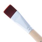 Кисть Синтетика Плоская, укороченная вставка, серия "Хобби" (нейлон) №24, d-24 мм, L-22 мм (удлинённая ручка) - Фото 3