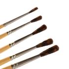 Набор кистей для художника серии «Художник», мех белки, 5 штук: круглые № 1, 2, 3, 4, 5 - Фото 4