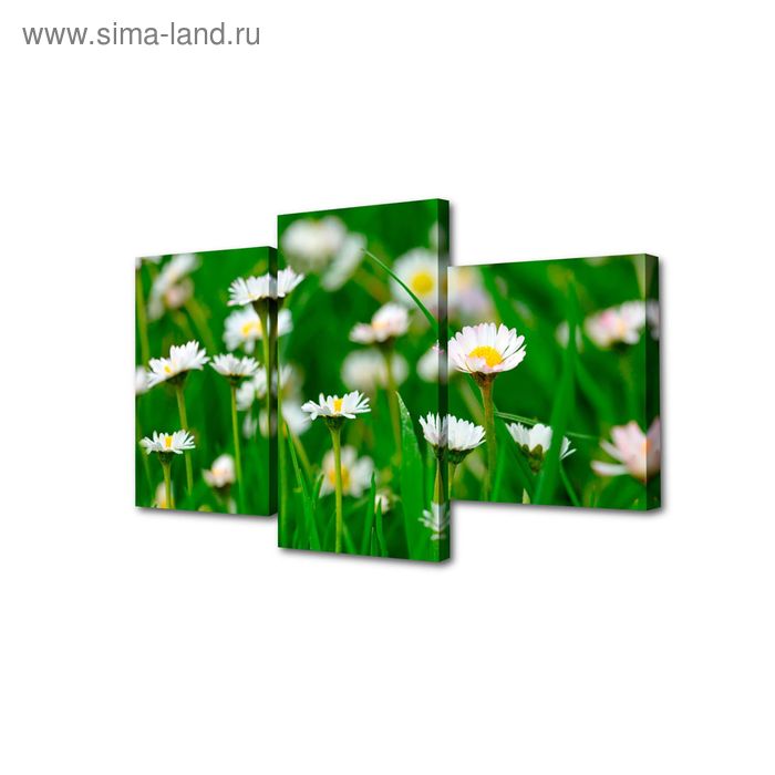 Картина модульная на подрамнике "Ромашковое поле" 26х30см; 26х40см; 26х50см 50*80см - Фото 1