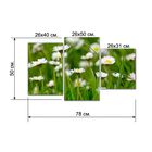 Картина модульная на подрамнике "Ромашковое поле" 26х30см; 26х40см; 26х50см 50*80см - Фото 2