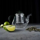 Чайник заварочный со стеклянным ситом «Грин», 600 мл - Фото 5