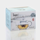 Заварочный чайник «Грин», 600 мл, стеклянное сито, прозрачный - Фото 8