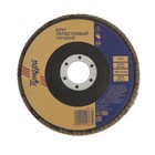 Круг лепестковый торцевой ТУНДРА, 125×22 мм, Р120 - Фото 2