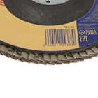 Круг лепестковый торцевой ТУНДРА, 125×22 мм, Р120 - Фото 3