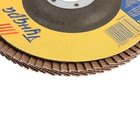 Круг лепестковый торцевой ТУНДРА, 125×22 мм, Р60 - Фото 3