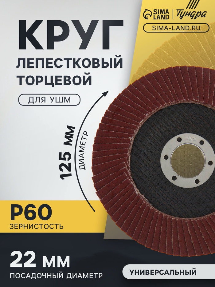 Круг лепестковый торцевой ТУНДРА, 125×22 мм, Р60 - Фото 1