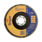 Круг лепестковый торцевой ТУНДРА, 125×22 мм, Р100 - Фото 2