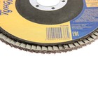 Круг лепестковый торцевой ТУНДРА, 125×22 мм, Р100 - Фото 3