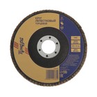 Круг лепестковый торцевой ТУНДРА, 125×22 мм, Р80 - Фото 2