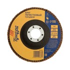 Круг лепестковый торцевой ТУНДРА, 125×22 мм, Р40 - Фото 2