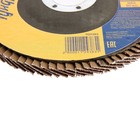 Круг лепестковый торцевой ТУНДРА, 125×22 мм, Р40 - Фото 3