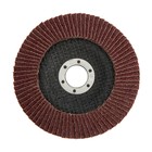 Круг лепестковый торцевой ТУНДРА, 125×22 мм, Р40 - Фото 4