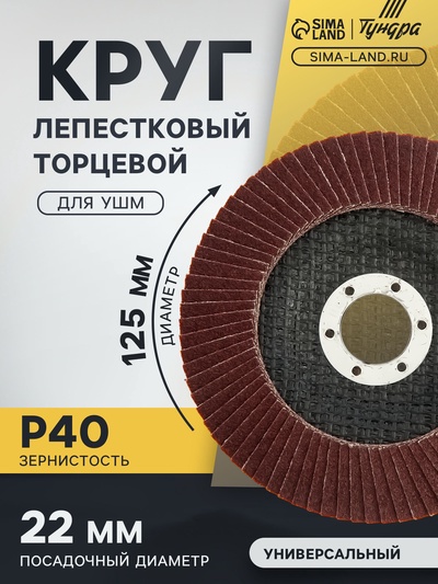 Круг лепестковый торцевой ТУНДРА, 125×22 мм, Р40