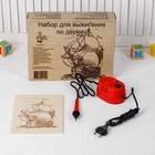 Выжигание по дереву, набор: прибор + 12 дощечек: 21.3×14.8×0.4 см, мощность: 220 В - Фото 2
