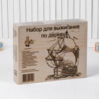 Набор для выжигания по дереву: прибор + 12 дощечек: 21.3 × 14.8 × 0.4 см, мощность: 220 В 1193563 - фото 16364079