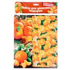 Набор для упаковки подарка «Мандарины», 23 × 27 см - Фото 2