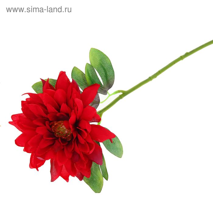 Цветы искусственные георгин 35 см красный - Фото 1
