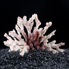 Декор для аквариума "Ветка коралла", 12 х 7 х 10 см - фото 8802963