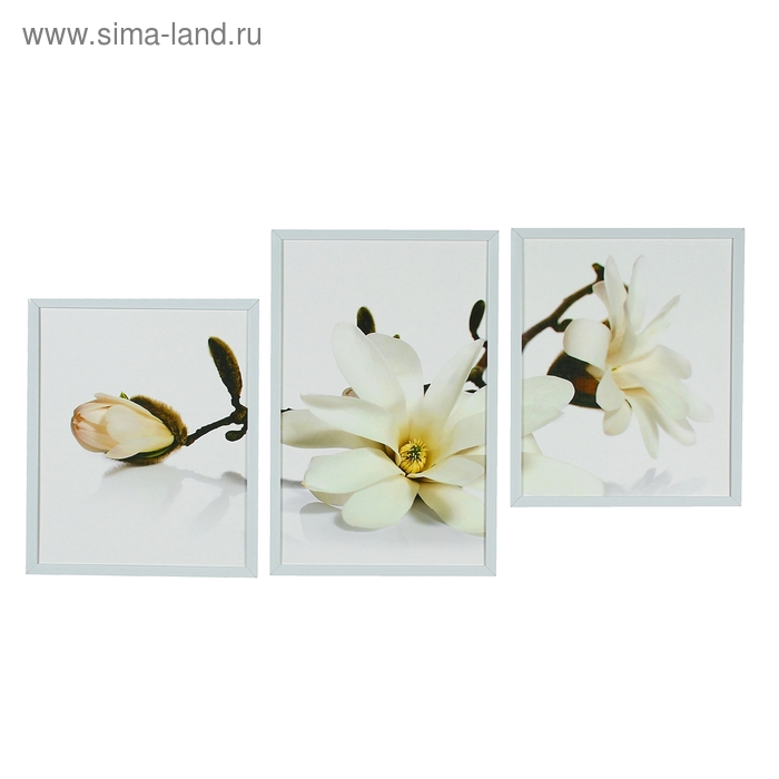 Картина модульная в раме "Белые цветы" 2-43х35 см, 1-53х35 см, 53х105 см - Фото 1