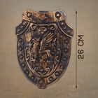Набор рыцаря «Грифон», 2 предмета - фото 8261191