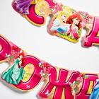 Гирлянда на люверсах «С Днем Рождения!», длина 219 см, Принцессы - Фото 4