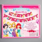 Гирлянда на люверсах «С Днем Рождения!», длина 219 см, Принцессы - Фото 5