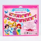 Гирлянда на люверсах «С Днем Рождения!», длина 219 см, Принцессы - Фото 6