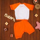 Детский костюм "Динозавр": футболка на завязках, шорты, на 6-12 мес, цвет оранжевый - Фото 7